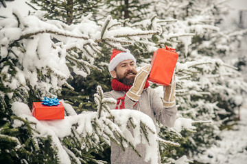 Boxing day, party celebration.