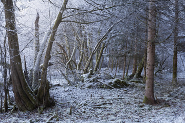 Landschaft in Kärnten