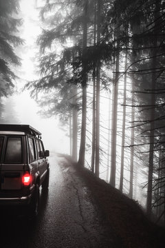 Auto von hinten auf einer vernebelten Bergstra&szlig;e im Wald