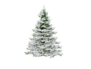 Christmas Tree covered in snow isolated on white background 