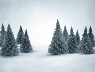 Fototapeta na wymiar Christmas winter scene - Pine trees and falling snow 