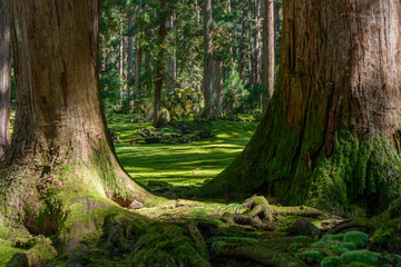平泉寺白山神社　境内風景