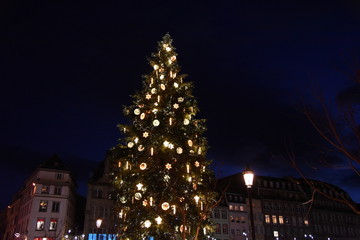 Weihnachtsbaum Strassburg Frankreich  