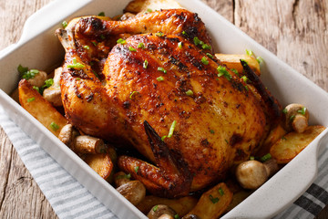 Fototapete bei efototapeten.de bestellen   