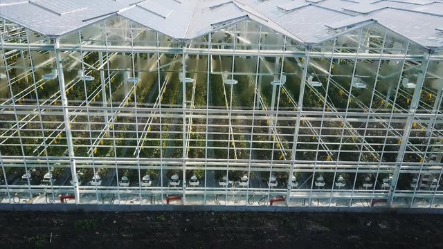 Aerial video of greenhouses