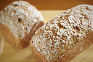 bread 