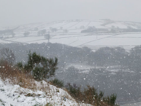 snowfall on the yorkshire moors with heather and bushes along a hillside path with forest and farmland in the background