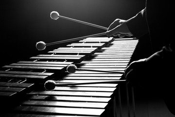 The hands of a musician playing the marimba in black and white tones - obrazy, fototapety, plakaty