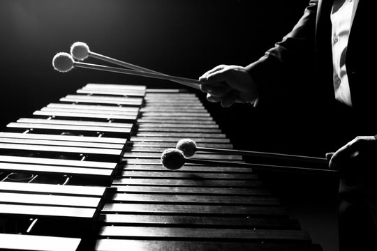 The hands of a musician playing the marimba in black and white tones