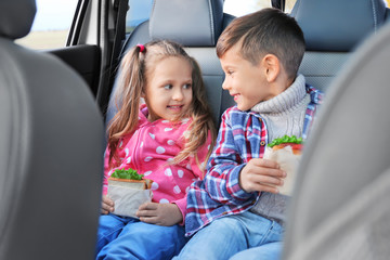 Cute children in car
