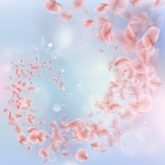Obraz premium Sakura flying downwind petals on wind. EPS 10 vector