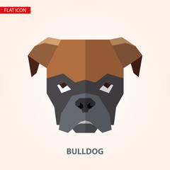 Bulldog head vector illustration. It can be used as - logo, pictogram, icon, infographic element.