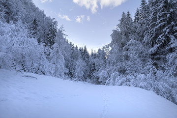 Landschaft im Kärnten