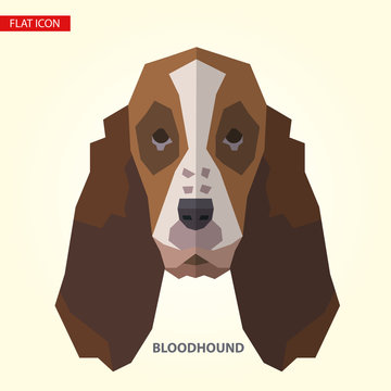 Bloodhound head vector illustration. It can be used as - logo, pictogram, icon, infographic element.