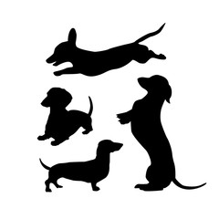 Black silhouettes of dachshunds dogs on a white background. Beautiful vector design.