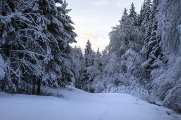 Landschaft im Kärnten