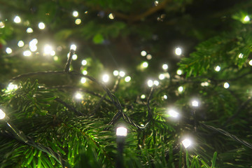 green tree and bright lights. christmas greeting card.