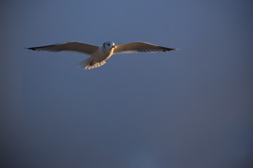 Küste im Winter - Impressionen