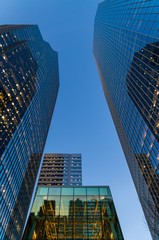 Calgary Urban Forest