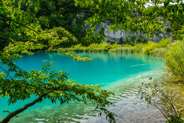 The beauty of nature. The Plitvice lakes.
