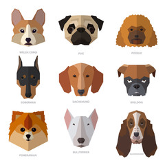 Dogs heads of different breeds. Colorful template for you design, web and mobile applications.