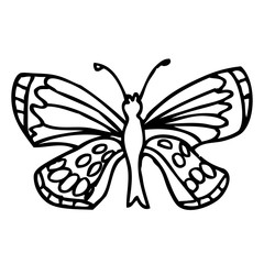 Black doodle decorative ornate butterfly isolated on white background.