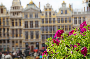 Fototapeta na wymiar Grand Place in Brussels. Many tourists walk and look at beautiful buildings on the main square in Brussels. Flowers bloom on the Grand Place in Brussels.