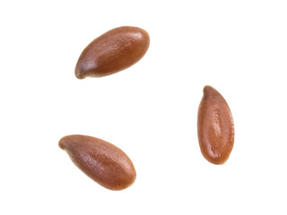 Close up macro photo of three linseed or flax seed isolated on white