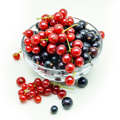 Black currant and brushes of red currant in a glass vase. Vase w
