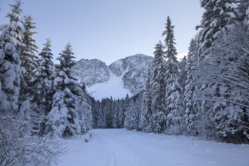 Obraz premium Winterlandschaft in Kärnten