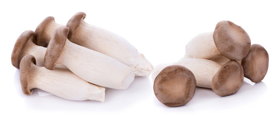 King oyster mushroom Pleurotus eryngii on white background