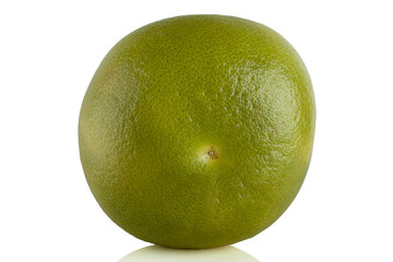 Oroblanco Citrus Sweetie, the Pomelit, white grapefruit