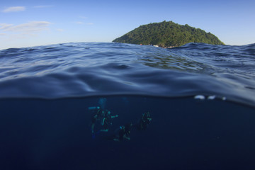 Fototapety na wymiar - Fototapeta24.pl