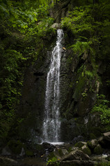 Obraz premium Clear waterfall on a moss covered rock wall with green plants and branches