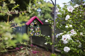 Painted birdhouse hanging in yard amidst plants