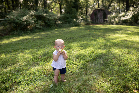 Baby girl eating pear while standing on grassy field