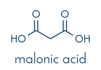 Malonic acid organic dicarboxylic acid molecule. Skeletal formula.