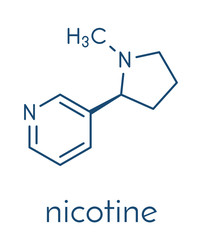 Nicotine tobacco stimulant molecule. Main addictive component in cigarette smoke. Skeletal formula.