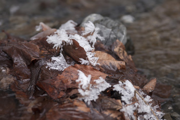 Nahaufnahme Bach und Eis