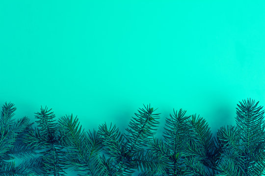 Christmas tree branches on bright isolated background as a border or template for christmas card