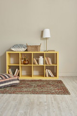 modern room style bookshelf concept