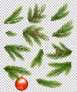 Christmas decorations. Fir branches, pine, conifer cone. Vector set icon.