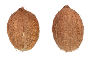 two whole coconut isolated on white background. Flat lay. Top view