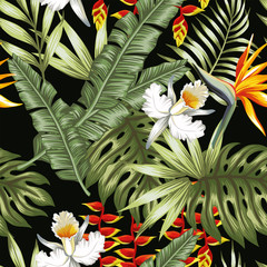 Jungle flowers and leaves black background