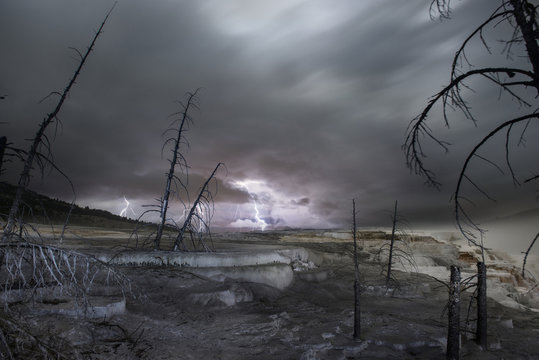Bare trees at Yellowstone National Park against thunderstorm and lightning