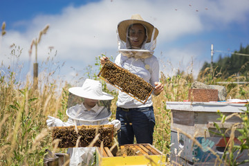 Mother and son holding honeycomb frames at field