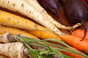 Wurzelgemüse