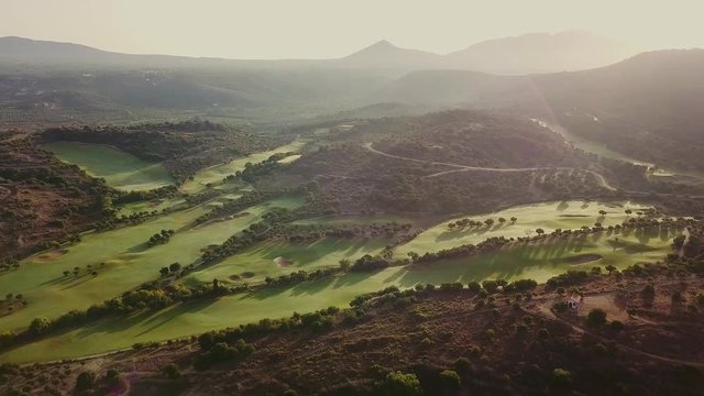 Meadow view from the air