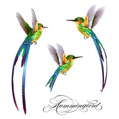 Obraz premium Hummingbirds set. Tropical seamless pattern with bird. Vector illustration.