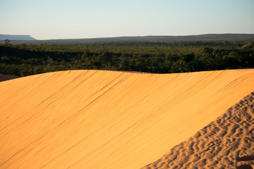 Fototapeta na wymiar Jalapão Dunes Region in Tocantins - Brazil